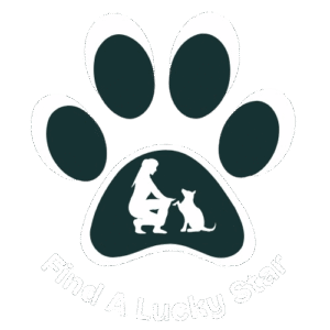 Find_A_Lucky_Star-removebg-preview